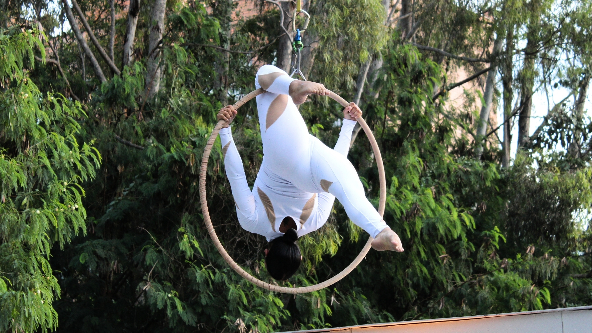 Blog_Banner_Lycra_Protela