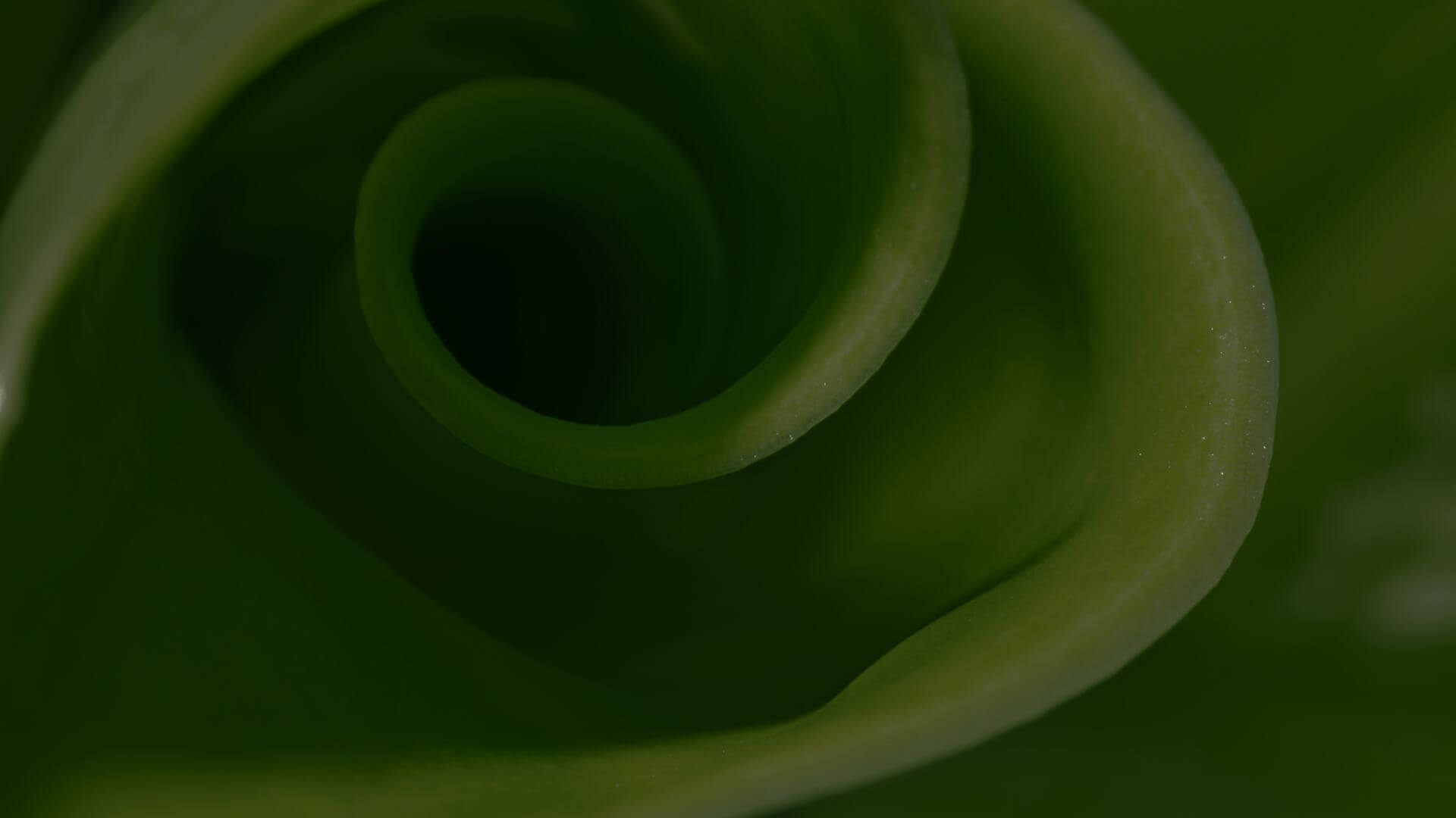 Blog_Banner_Sigamos_Moda_Sostenible_Desktop_Protela