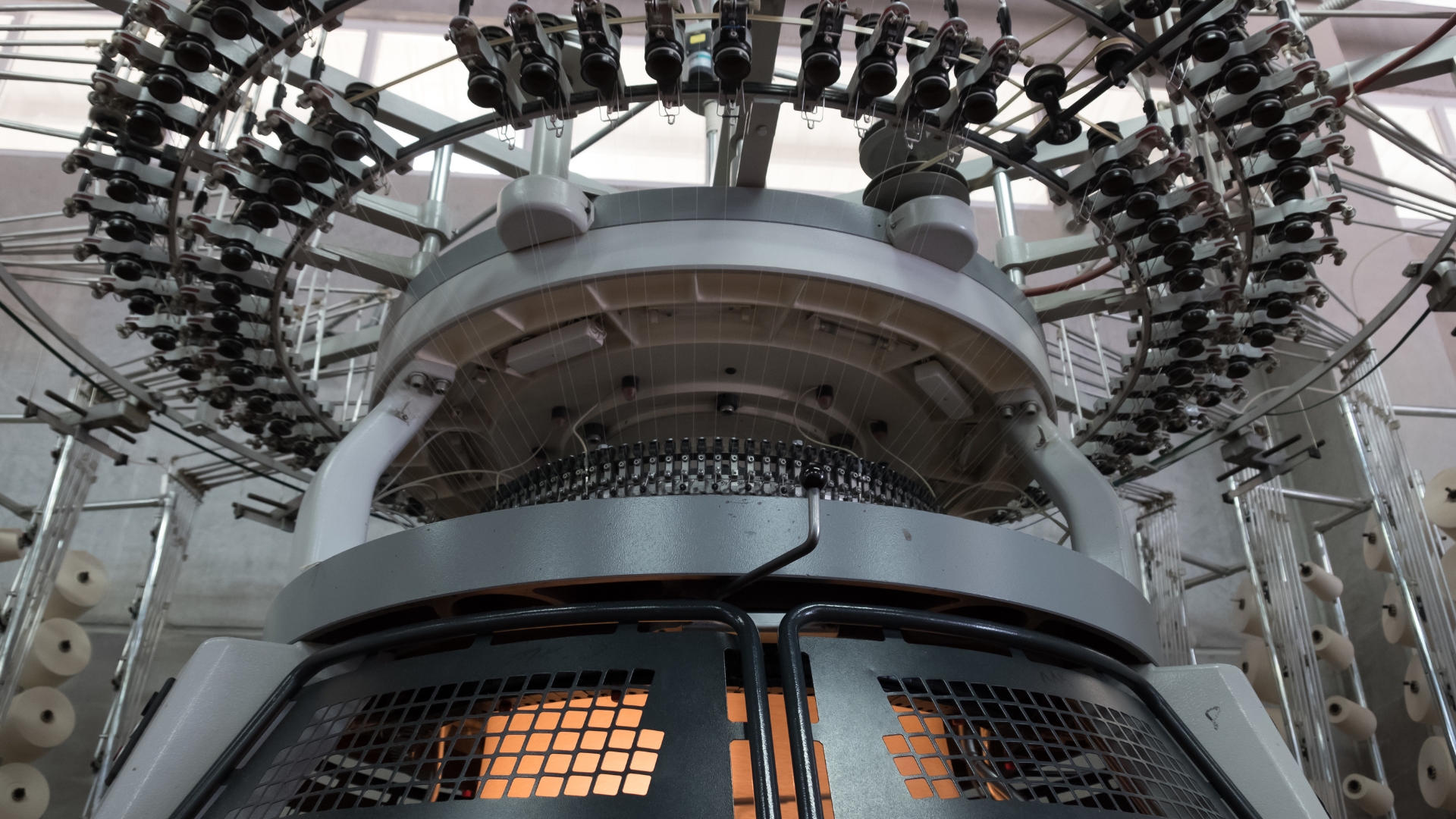 Aniversario 74 Protela