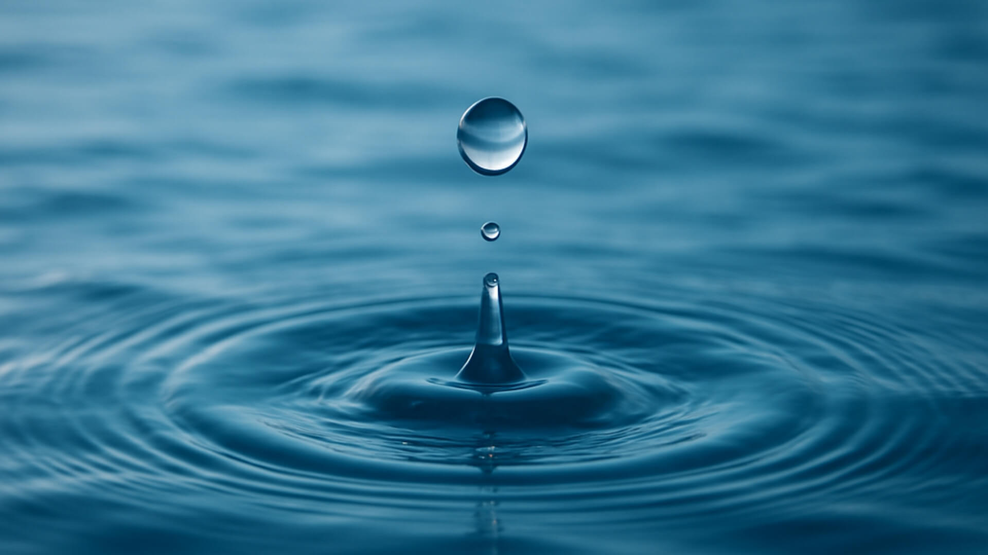 Protela impulsa una nueva era en la gestión responsable del agua